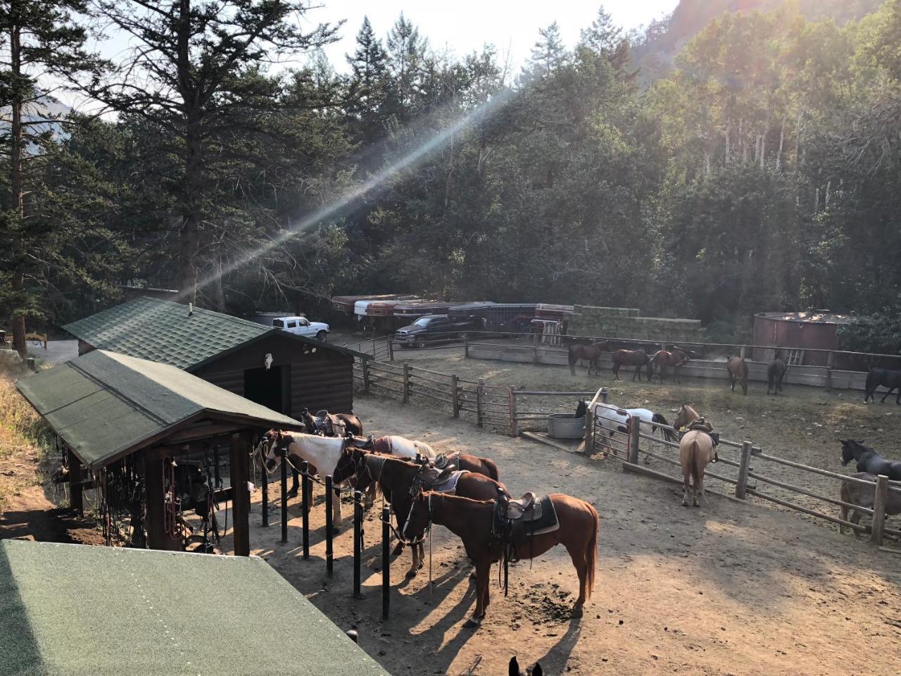 ホテル Bill Cody Ranch エクステリア 写真
