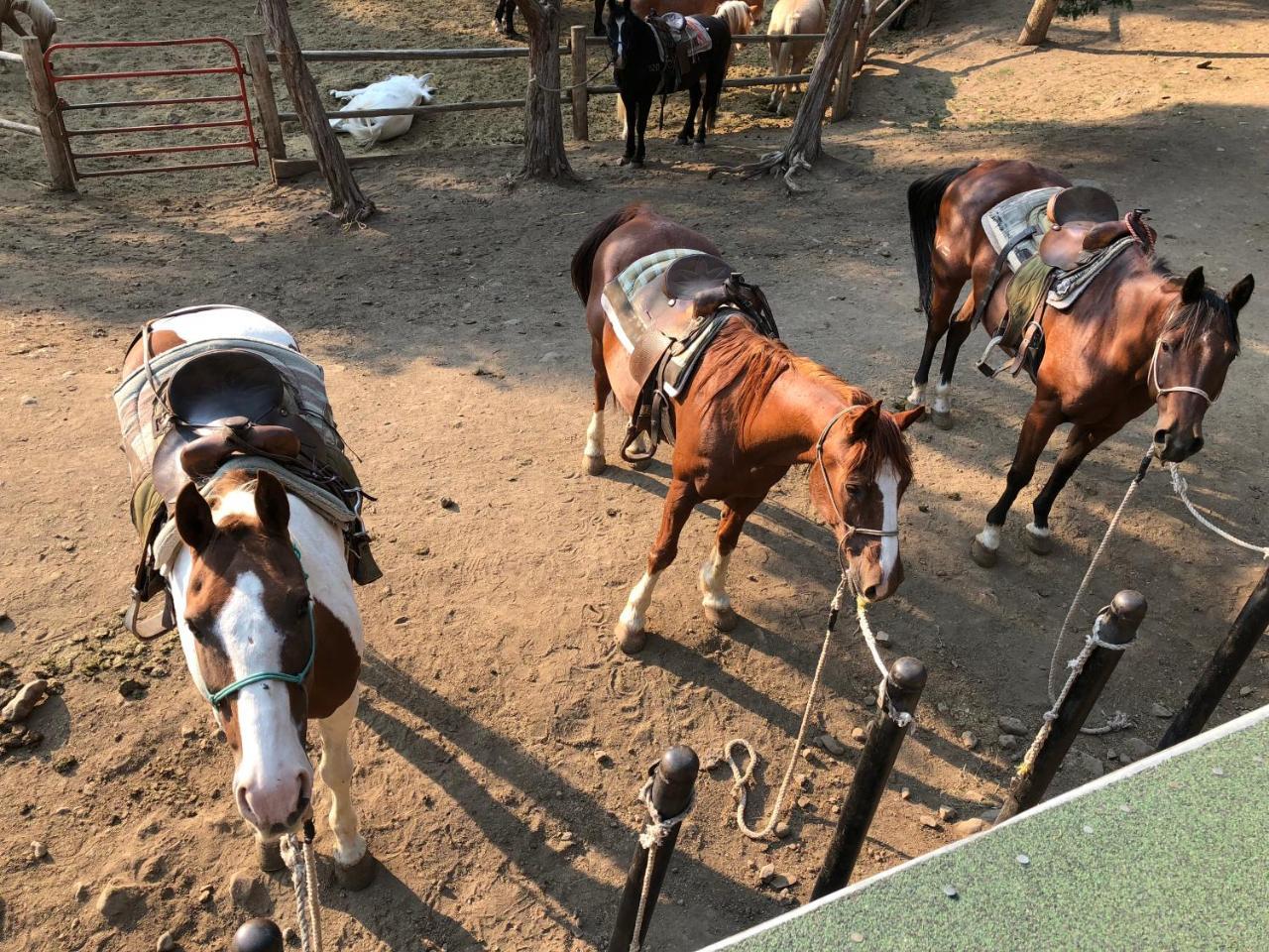 ホテル Bill Cody Ranch エクステリア 写真