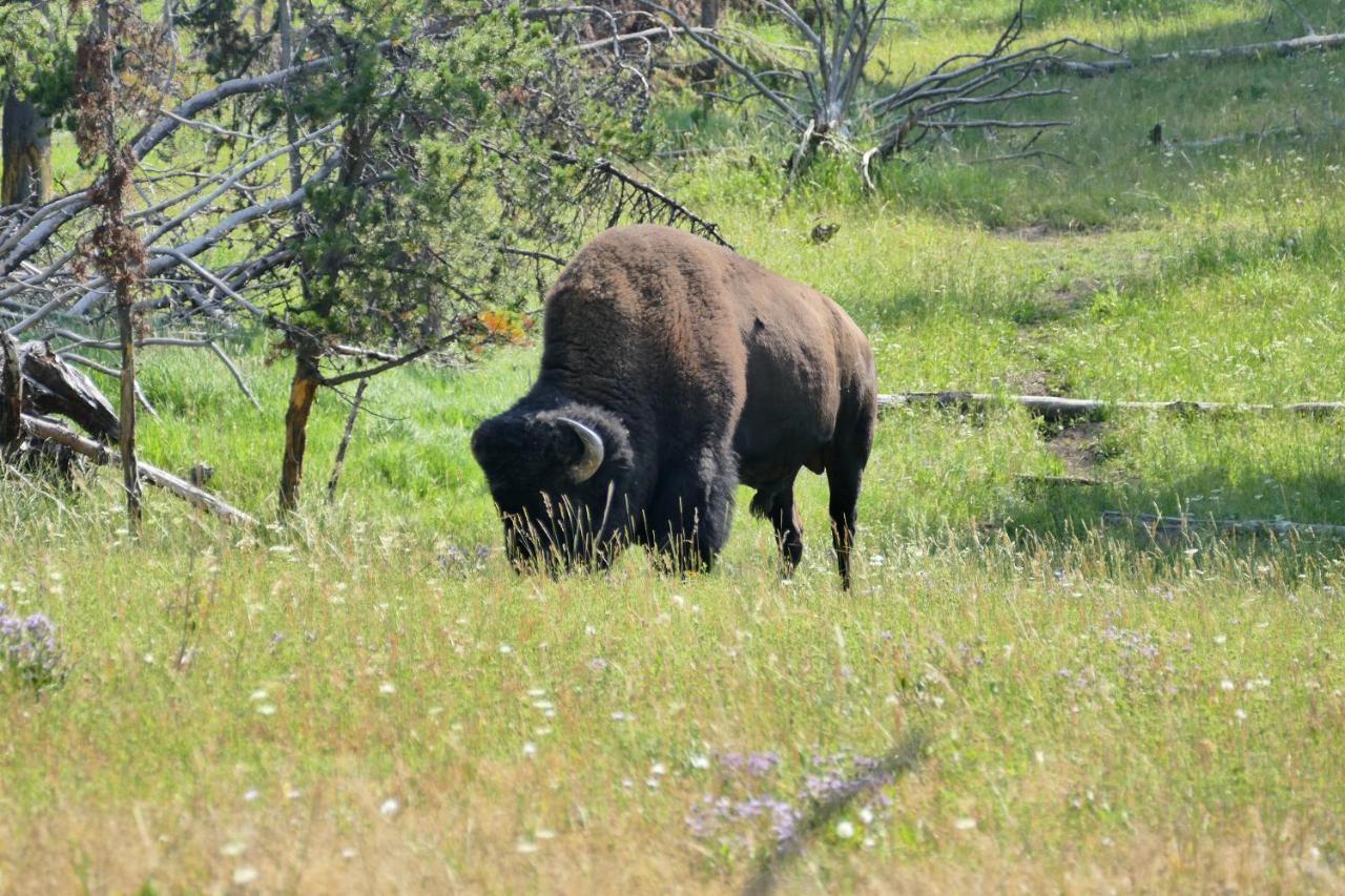 ホテル Bill Cody Ranch エクステリア 写真