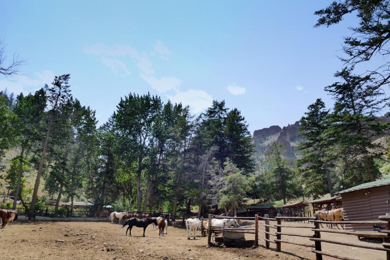ホテル Bill Cody Ranch エクステリア 写真