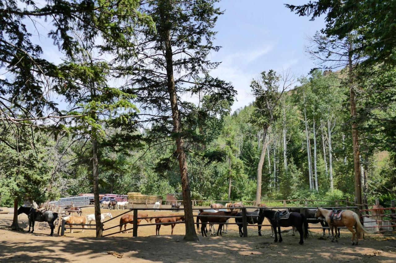 ホテル Bill Cody Ranch エクステリア 写真