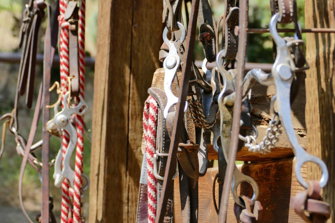 ホテル Bill Cody Ranch エクステリア 写真